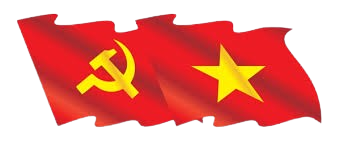 Cờ Việt Nam